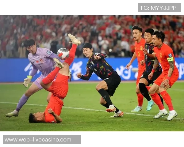 袁野足球记者深度解析中国足球现状与未来发展趋势