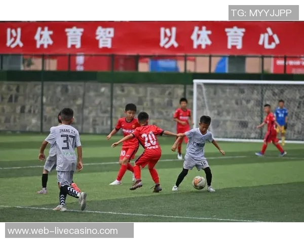 郑州足球崛起之路探索城市足球文化与青训体系的融合发展